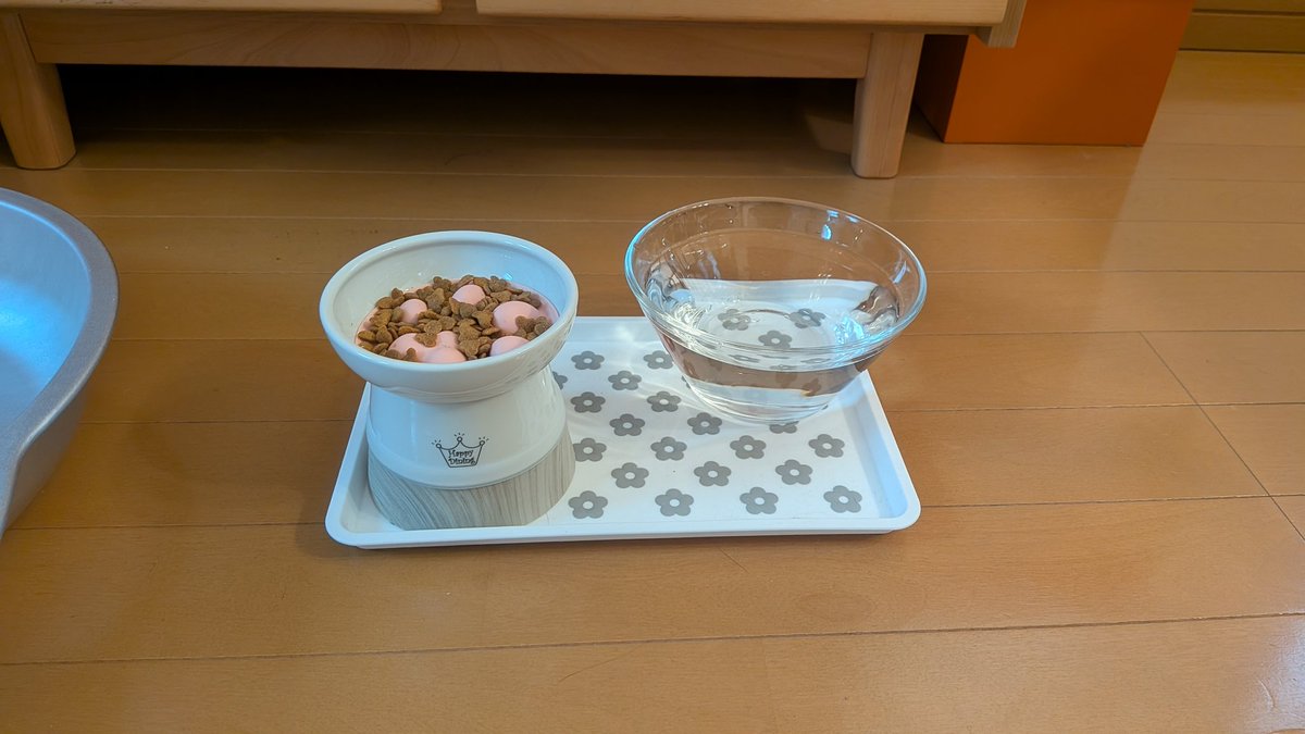 tettiri3's tweet photo. 猫のごはん https://t.co/L2CqHQqGf0