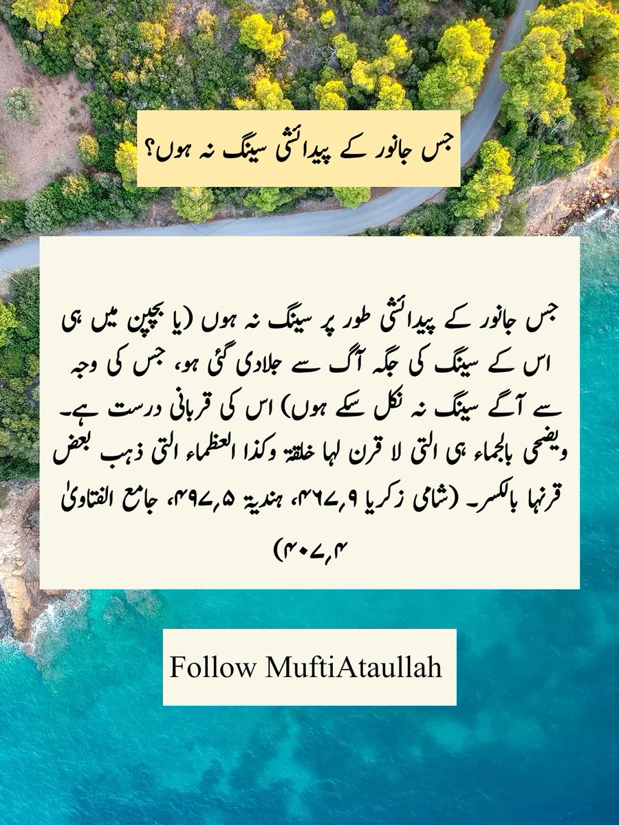 RealMufti's tweet photo. #قربانی_کا_فلسفہ

#Qurbani2026
#اردو_زبان https://t.co/RCi9mhgiAr