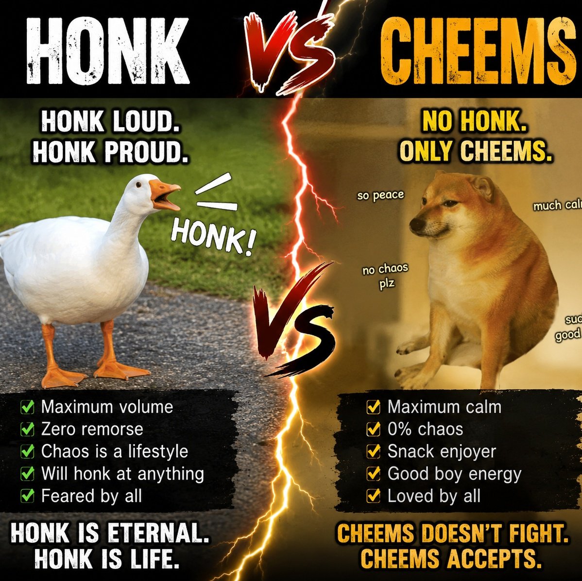 autoasetech's tweet photo. @TCryptochicks Cheems⁉️🪿🔪😤😡 $HONK #HONK #THECHEEMSBONKER $BONK $CHEEMS #CHEEMSBURGERS @honk_sol @HonkCTO @LordCheems_bsc https://t.co/vP7GCF9gCA