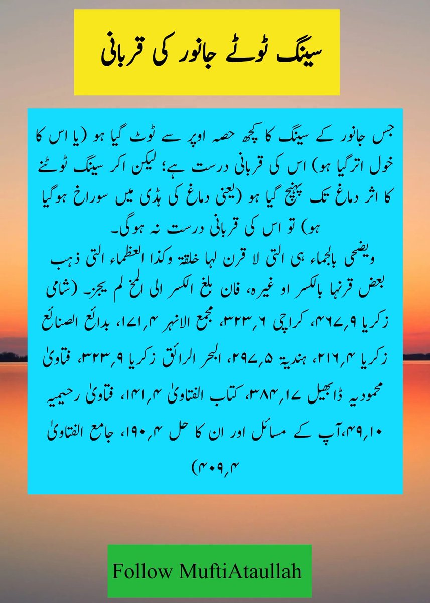 RealMufti's tweet photo. #Qurbani2026

#اردو_زبان https://t.co/Rmfw3M8Ag9