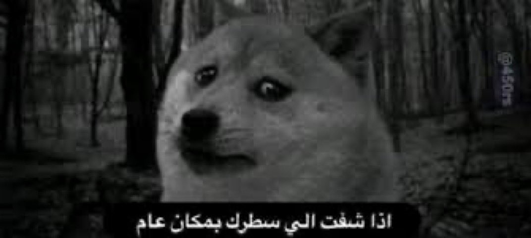 d95fll's tweet photo. لا بس ذكرت اللي سطره اخوي و قال تكفى زوجتي معي خلني افوز قدامها https://t.co/Phqm8SKBS7