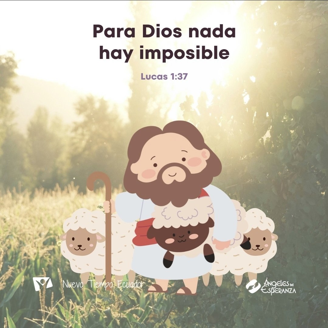 Jose Felix Carreno tweet media