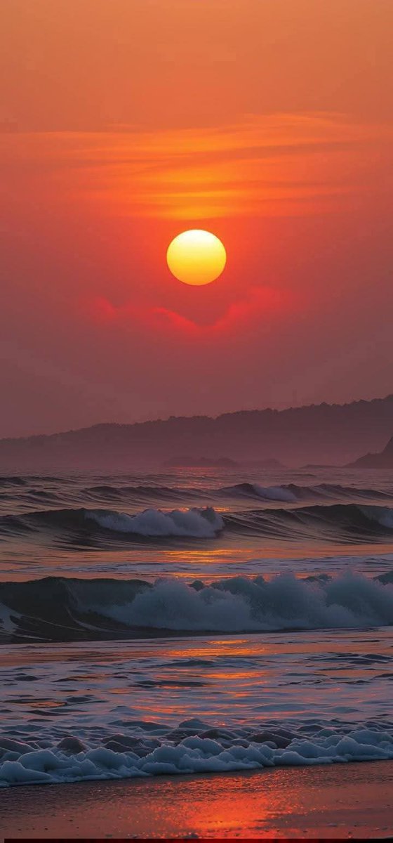 Mary_Sol. ❤️🌹 tweet media