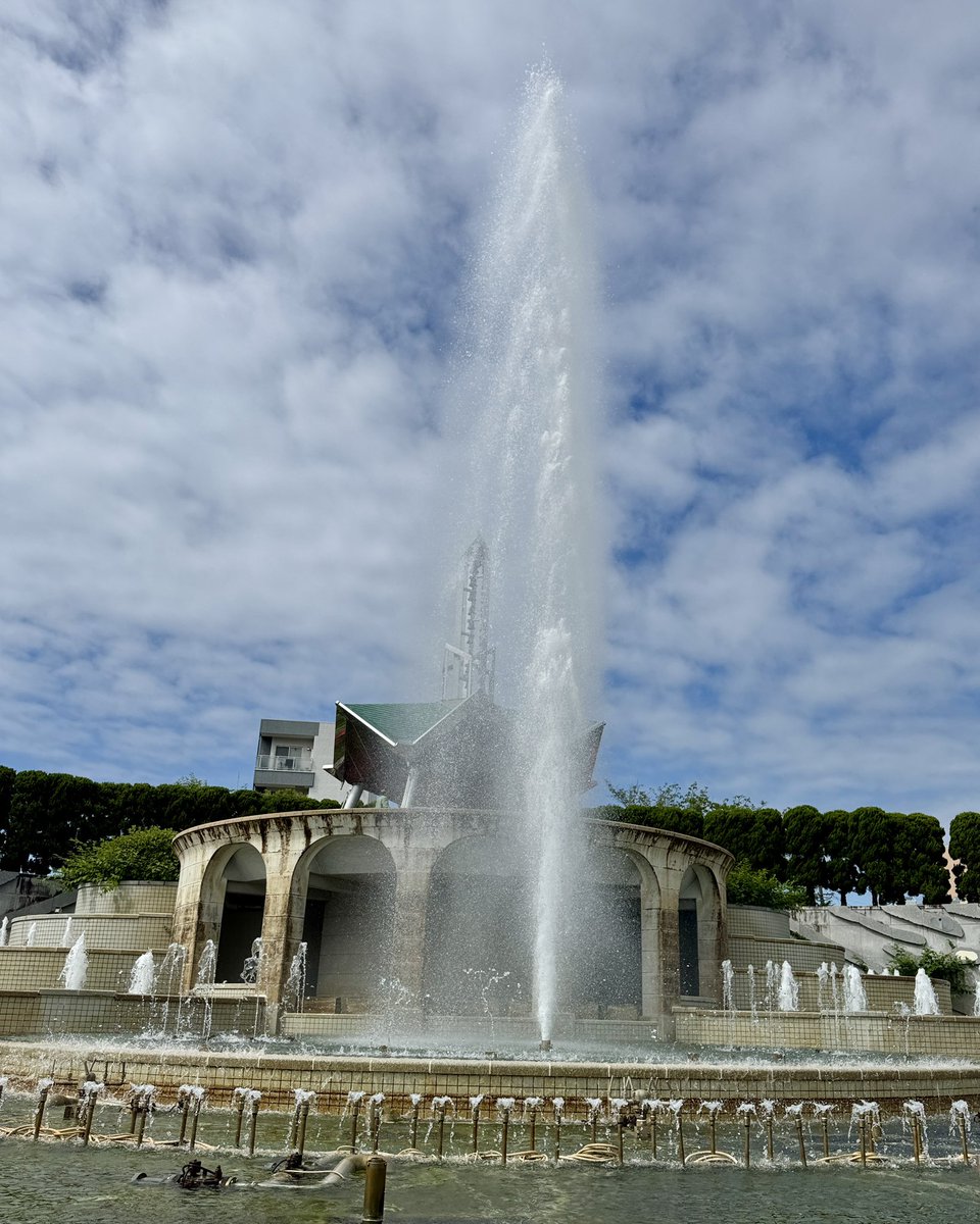 静岡市内 常磐公園、快晴です🌞絶好のビール&ウイスキー日和になりまし
