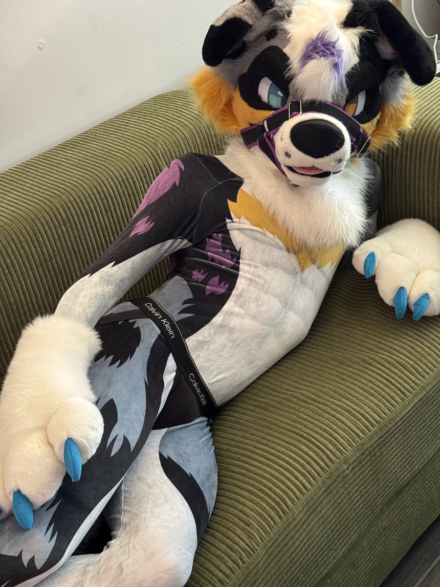Goose Pubby ➡️ FANG MP tweet media