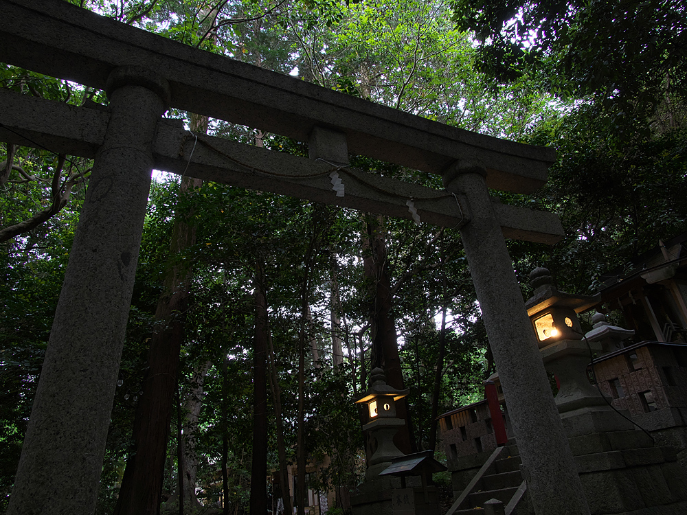 simapyon1's tweet photo. こちら交野、今朝は晴れです。
今日の写真は  【御神灯】
朝の神社は何処であれ清々しく感じられます。
https://t.co/v3QfKJ9Gcy 

#切り取りの世界 #写真で伝える私の世界 #スナップ #街撮り #三重県 #松阪 #松阪神社 https://t.co/EtrCBfEVFJ