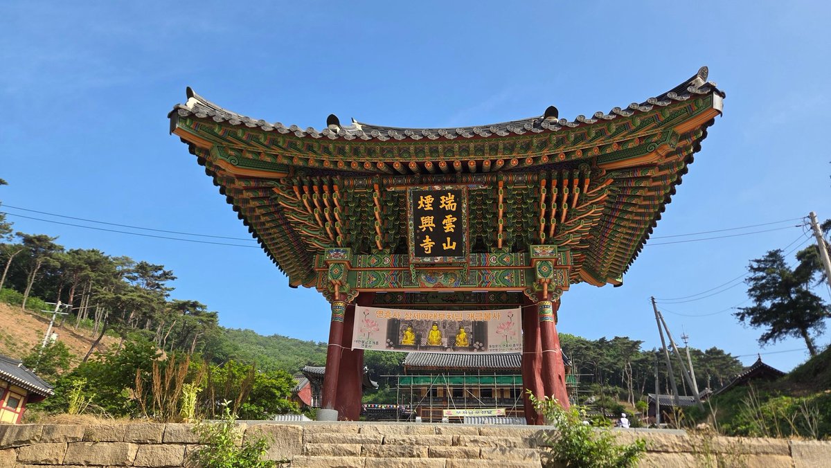 빗자루25 tweet media