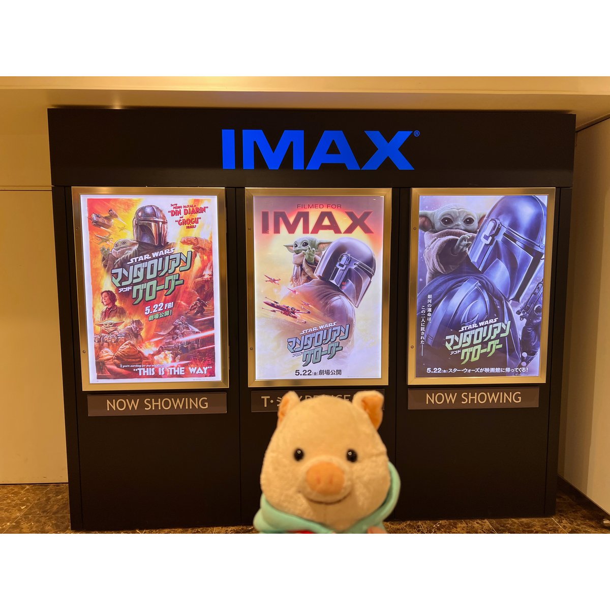 putonputon2014's tweet photo. スター・ウォーズ／ マンダロリアン・アンド・グローグーを観てきました。
#ぷーとん https://t.co/HCEZw8MzRD