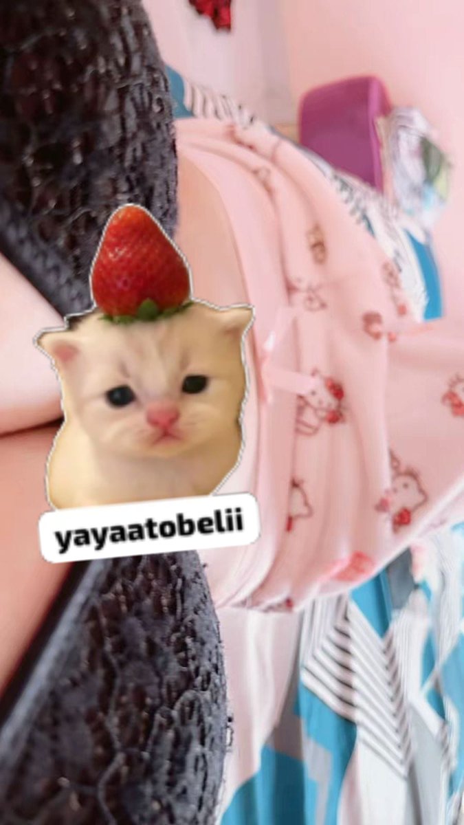 ૮ ᪲.ᐟ yayaatobelii ૮₍'˶• . •⑅₎ა tweet media