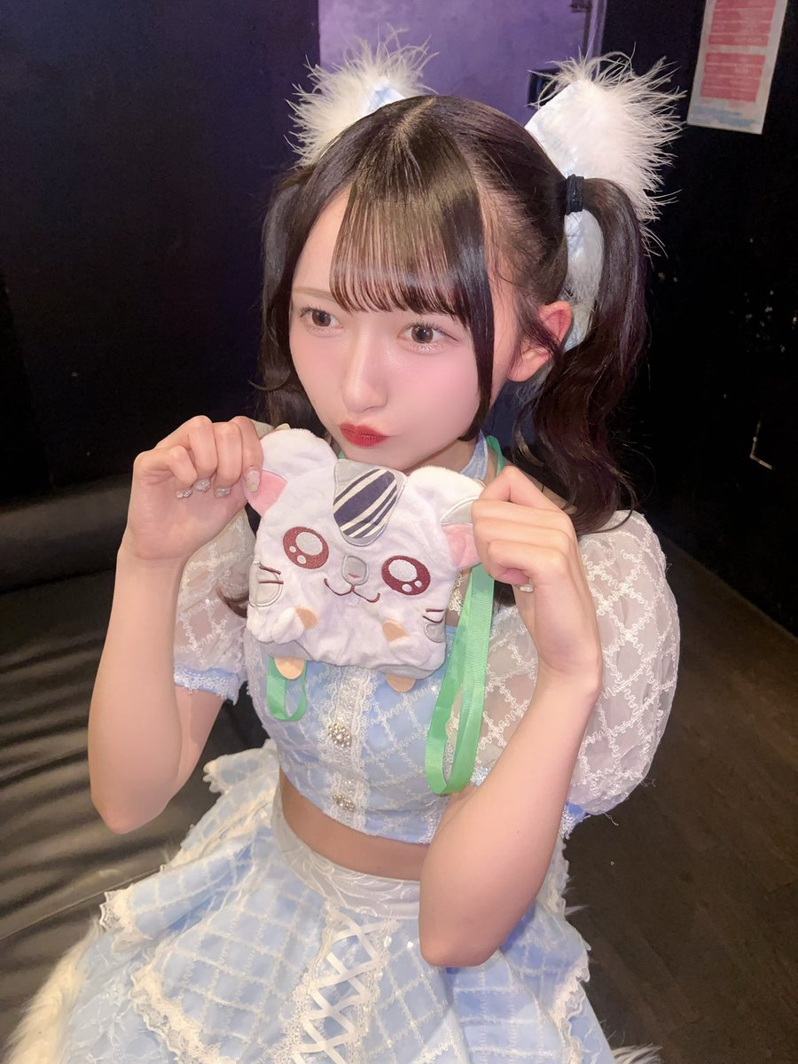 わらび🦭🍡6/12ワンマン tweet media