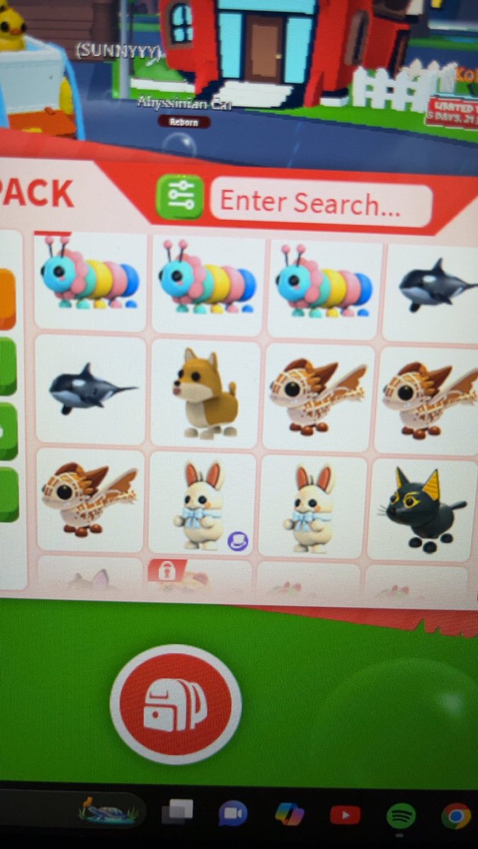teddyshh's tweet photo. Trading adopt me pets for mm2 weapons!
- strictly ngf!
-I don’t offer 
#robloxcrosstrade #mm2trading #adoptmecrosstrading #roblox #robloxtrading #murdermystery2 #mm2crosstrading https://t.co/1NWVvVnOr2