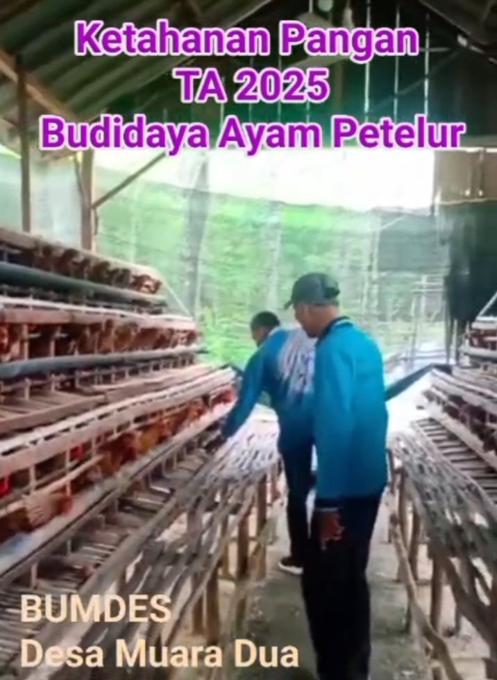 MBastoni3508's tweet photo. BUMDesa Desa Muara Dua, Tanah Abang, Paling Sumatera Selatan mengelola Ketahanan Pangan untuk meningkatkan ekonomi.
@YandriSusanto
@ARizaPatria
@KemensetnegRI
#KementerianDesaPDT
#BPSDMKementerianDesaPDT
#BUMDesaKelolaKetahananPangan
#BUMDesaKerjasamaKDMP
#KerjaTPPBerdampak https://t.co/cJW7MQf6QS