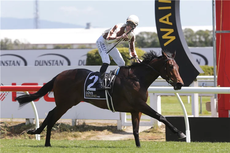 R&S Bloodstock tweet media