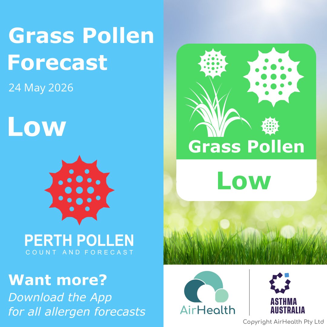 PerthPollen tweet picture