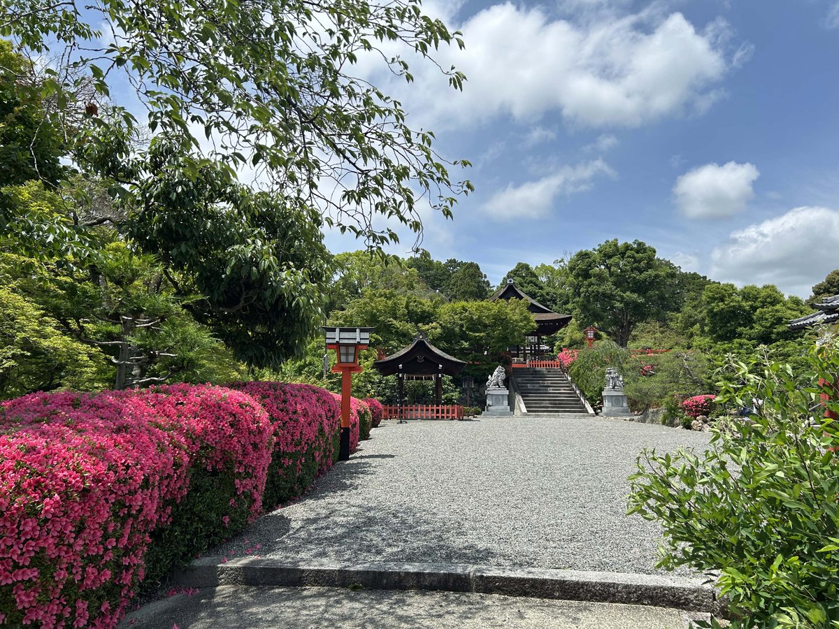 建勲神社 tweet media