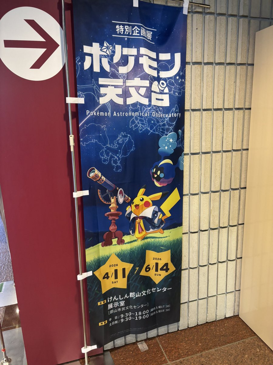 いのマリ先輩 tweet media