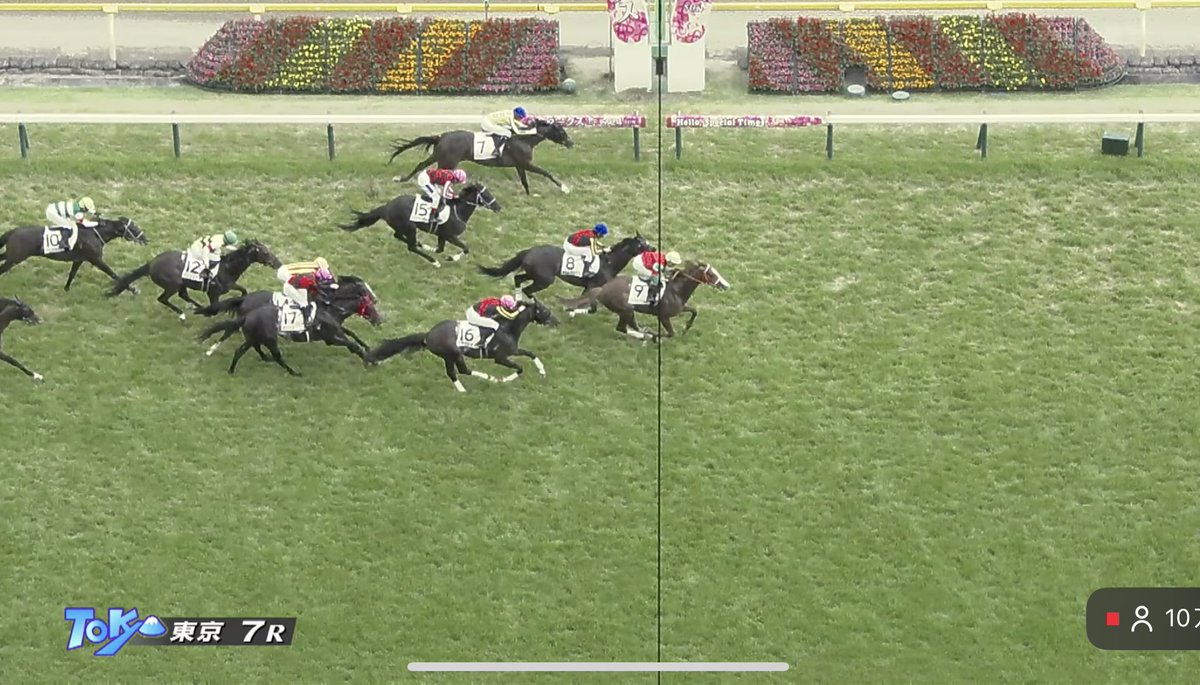 BreakRunOut25's tweet photo. ブレイク厩舎🐴
今週は1勝Cの馬が3頭出走🔥

ジャンヌドゥレーヴ
→7人気2着🥈

ポルトフェリス
→5人気2着🥈

ルージュベルベット
→1人気3着🥉

いやーー改めて思うけど1つ勝つのは大変😥
でもみんな次こそこのクラス勝ちあがろう🔥

オークス見たら25kmのキャンターしてきます🏃‍♂️ https://t.co/9uIicPf1cG
