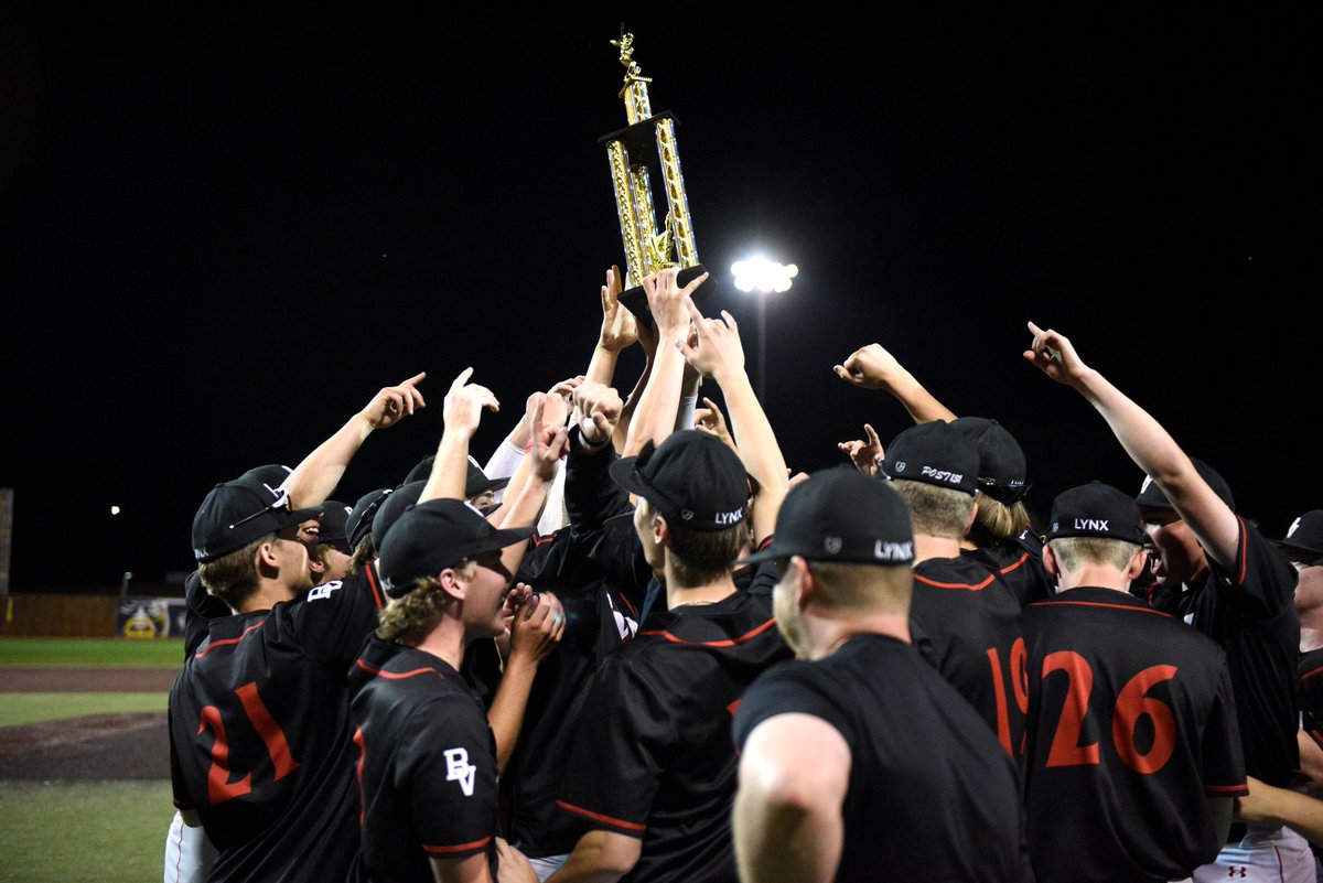 BV Baseball tweet media