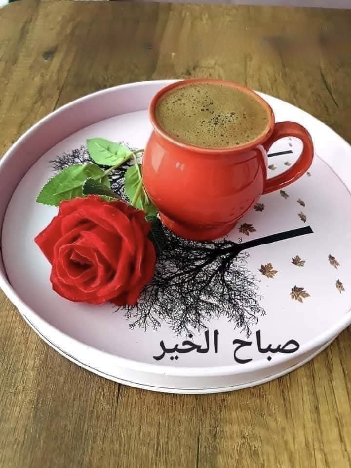 🇴🇲 Al-Habsi 🇴🇲 tweet media