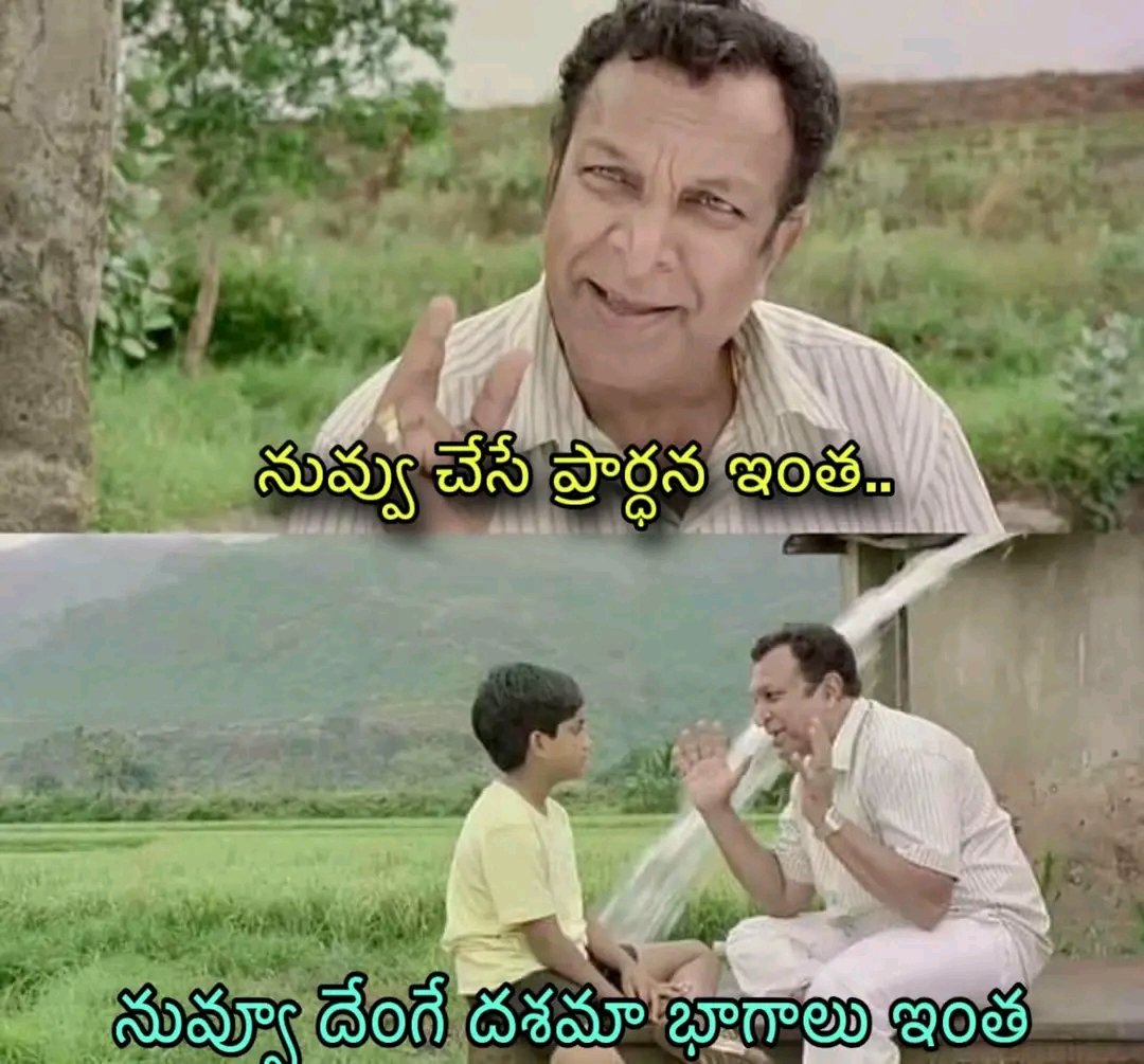 X Secular tweet media