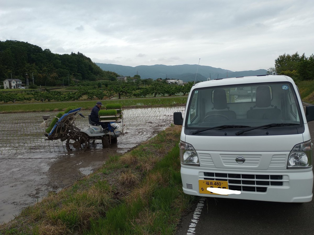 CorosukeNari02's tweet photo. 中古だけど軽トラ納車されました！田植えも今日で終わり！卵持ちのタガメさんも発見👀 https://t.co/G0w7xpqDUY