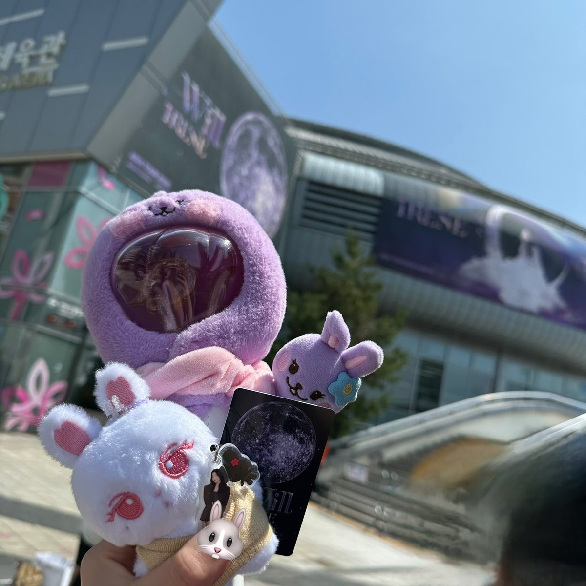 てん🌷🐰 tweet media