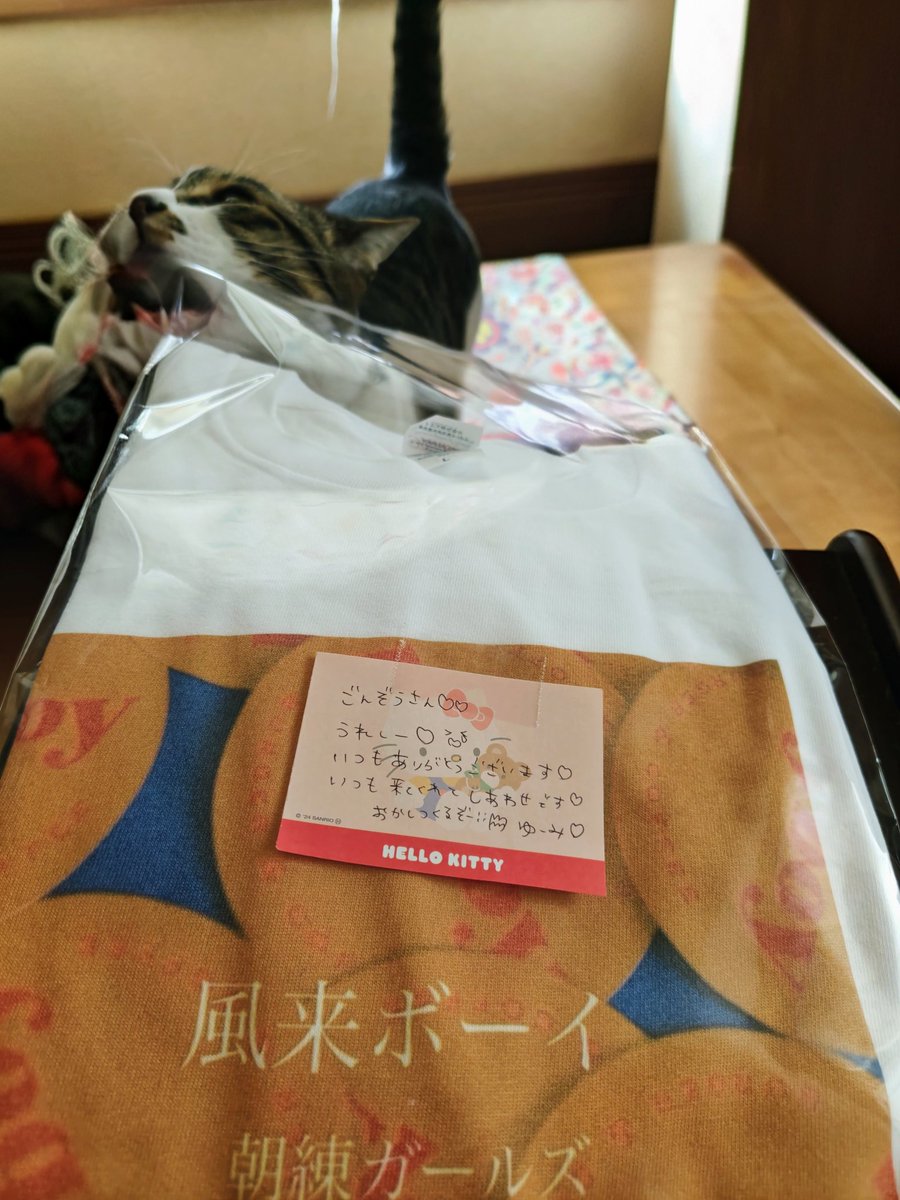 gonzou_htcb's tweet photo. ごちそうさまでした🍔
腹満腹大将です🐔
マサルさんも気に入ったようだ😸
備考
とてもうまいw
#FLYBOY
#朝練ガールズ
#風来ボーイ https://t.co/OsFMmVCow6