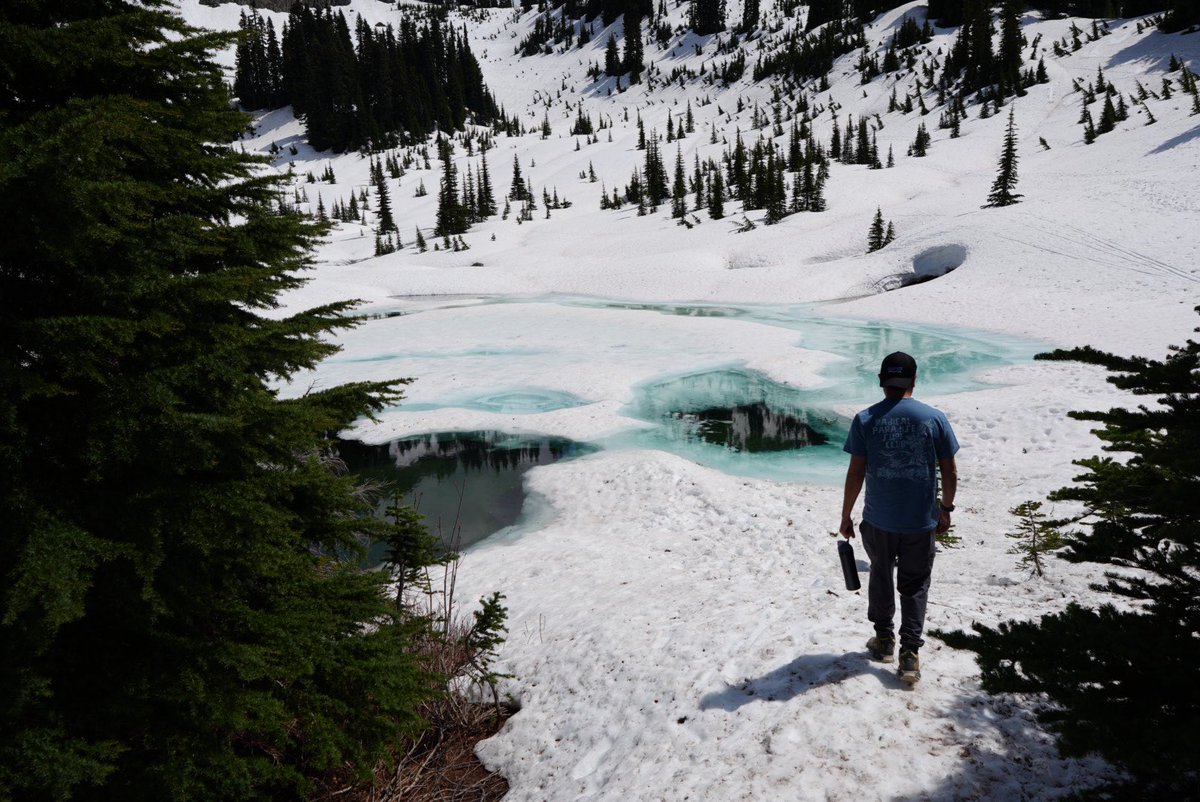 zyroshadow's tweet photo. Hi, I’m not coming back to civilization after this https://t.co/9cjwN6Z9XT