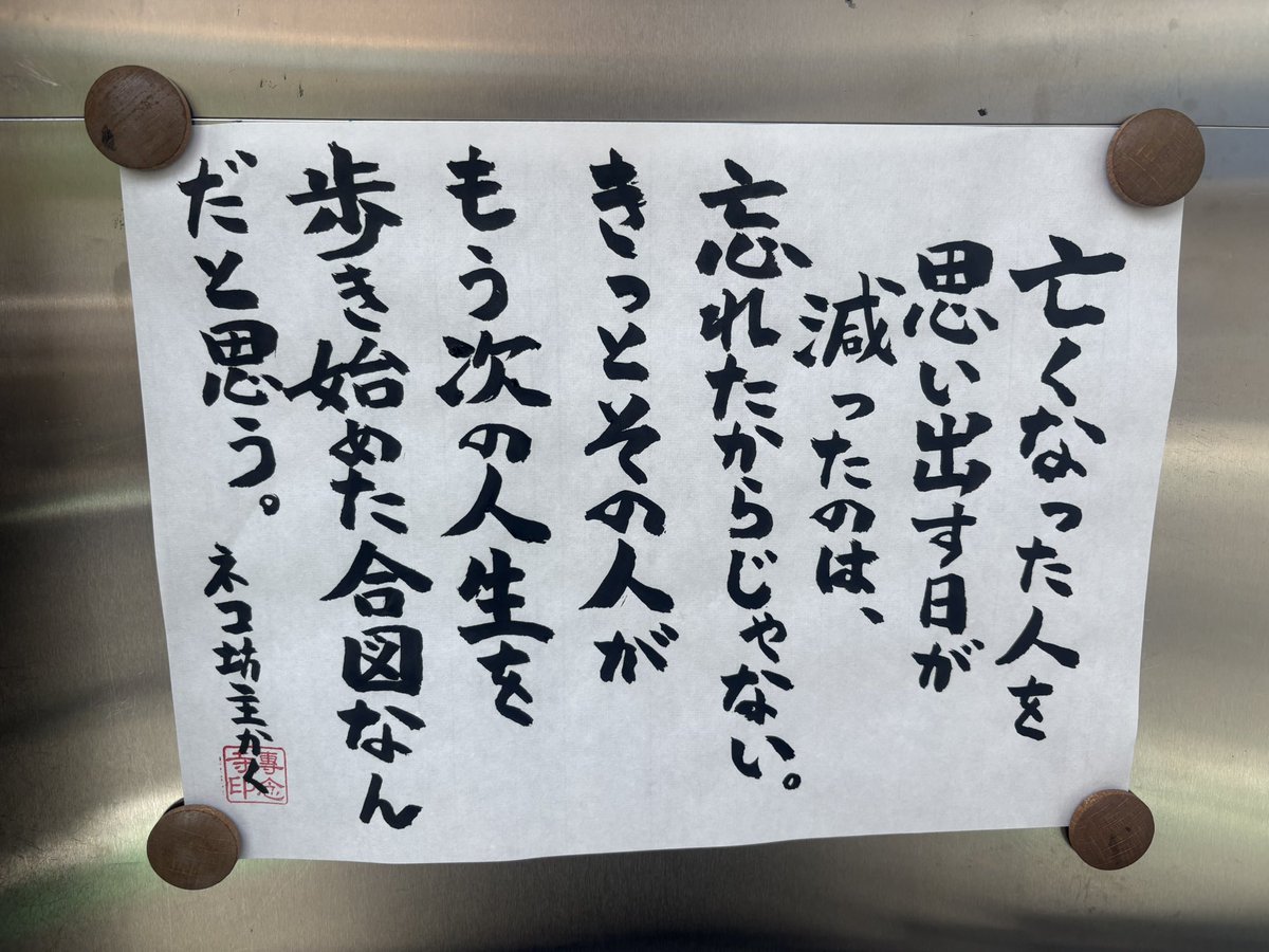 専念寺/ネコ坊主 tweet media