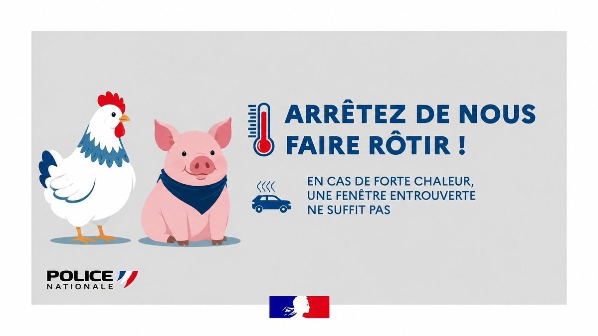 JEANNE MAS tweet media