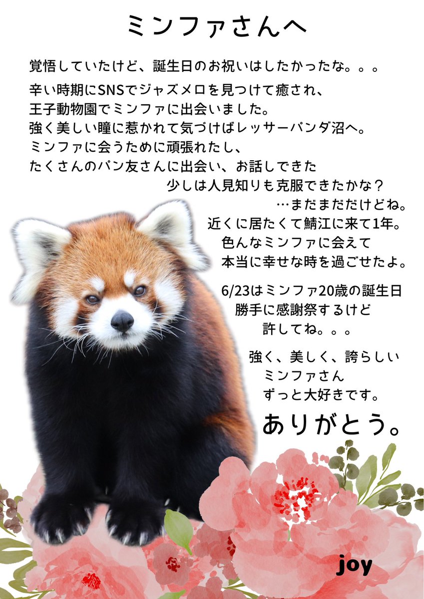 joy_redpanda tweet media