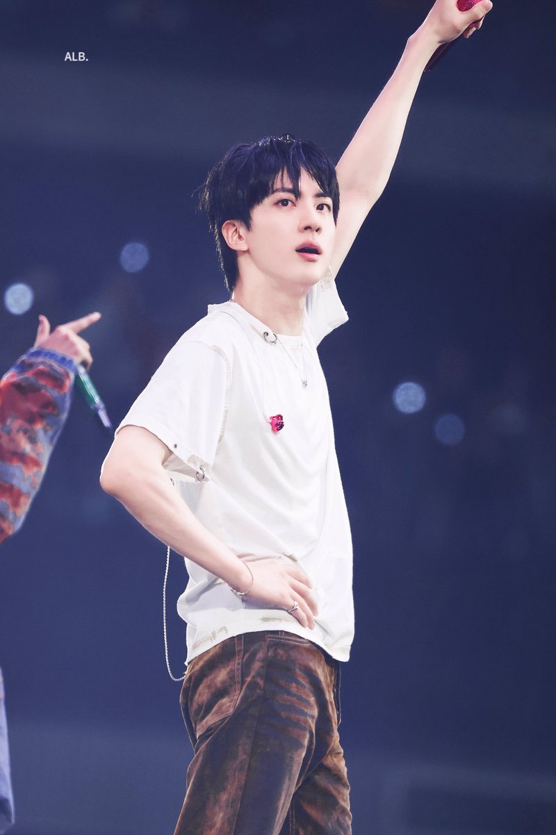 A LITTLE BRAVER 🐬 tweet media