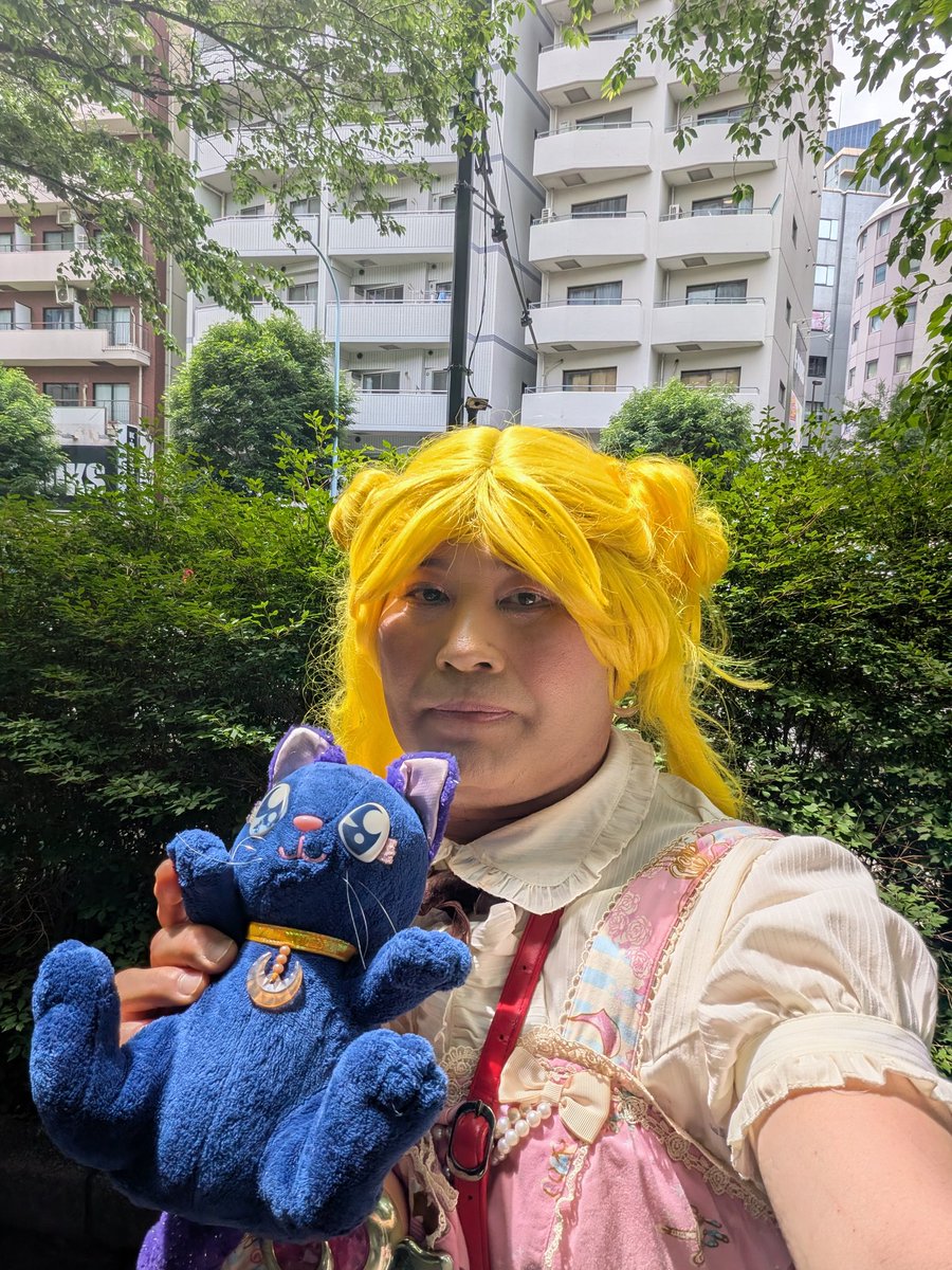 湘月桜 tweet media