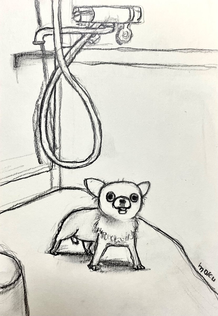 hashimotomoku's tweet photo. 「why...」 https://t.co/iSXoOyrcln