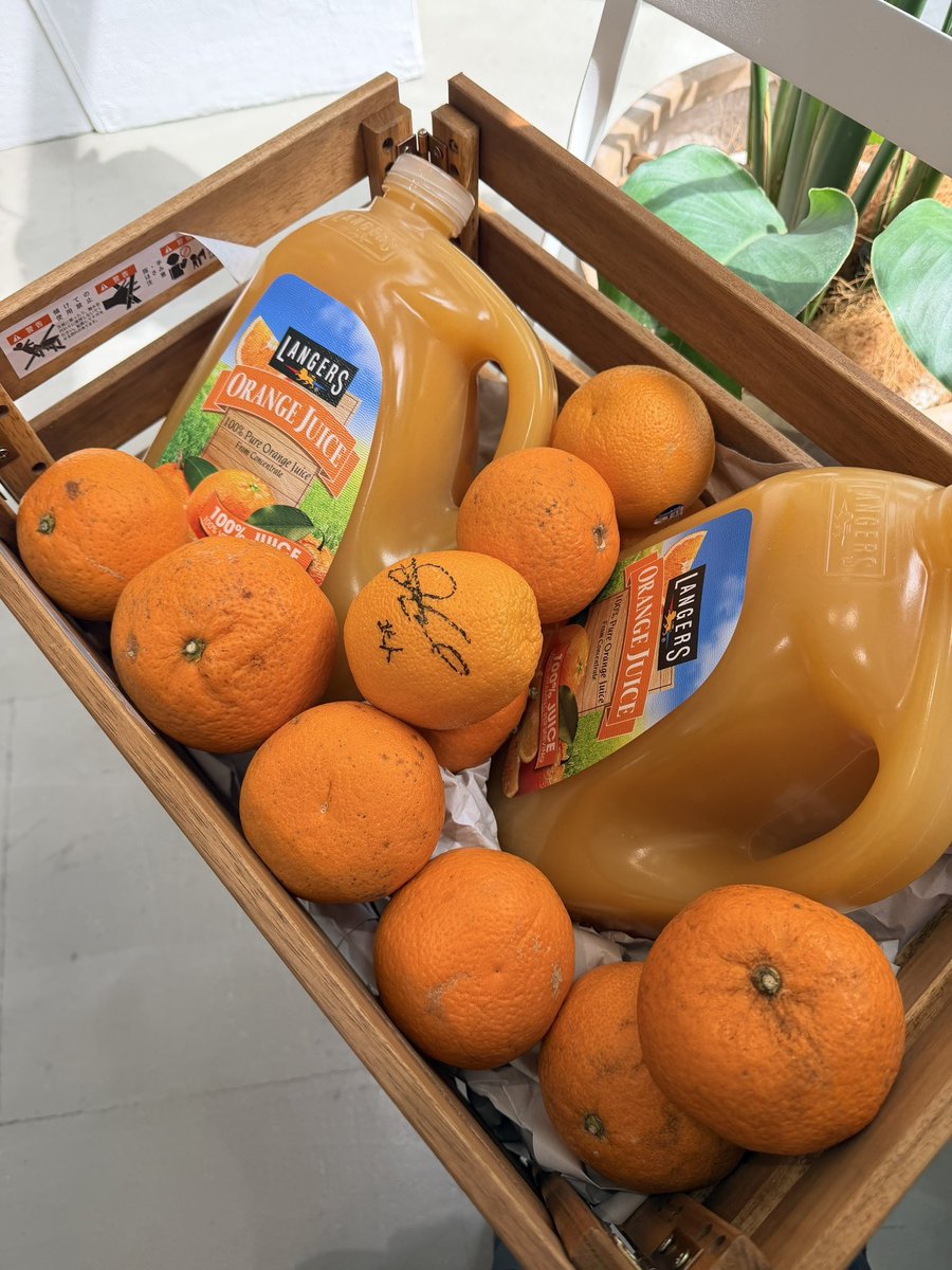 𝗼𝗿𝗮𝗻𝗴𝗲𝘄𝗼𝗼𝗱𝗲𝘅𝗵𝗶𝗯𝗶𝘁𝗶𝗼𝗻