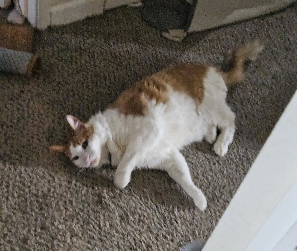 moirasbush's tweet photo. Just turned 13 years, fuck ur family https://t.co/FLbYHZQQdh