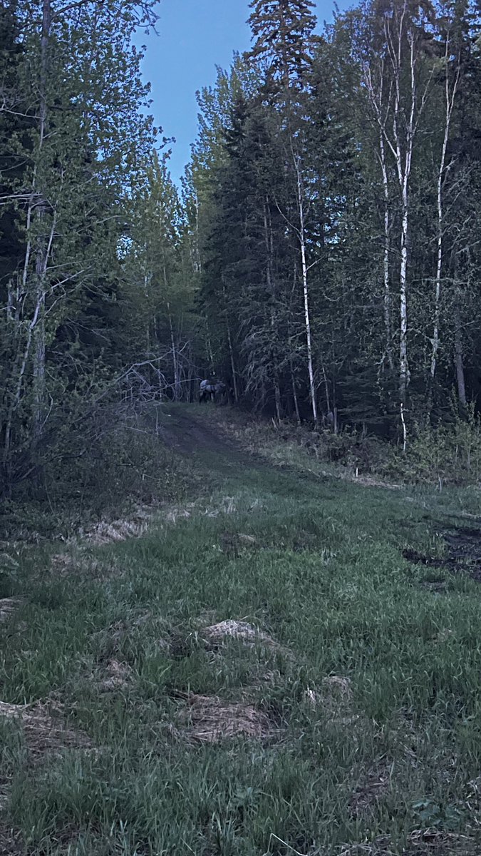 Ding_VR's tweet photo. Heard VRChat was down. Decided to touch grass. See you all tomorrow. https://t.co/QBi6IFFofQ