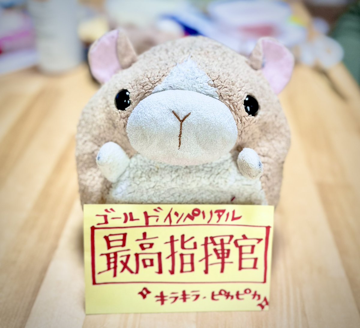 Fuwafk's tweet photo. @reitan07890211 まぁぼくはその上の最高指揮官だけどね〜😒 https://t.co/805RsHUyjp
