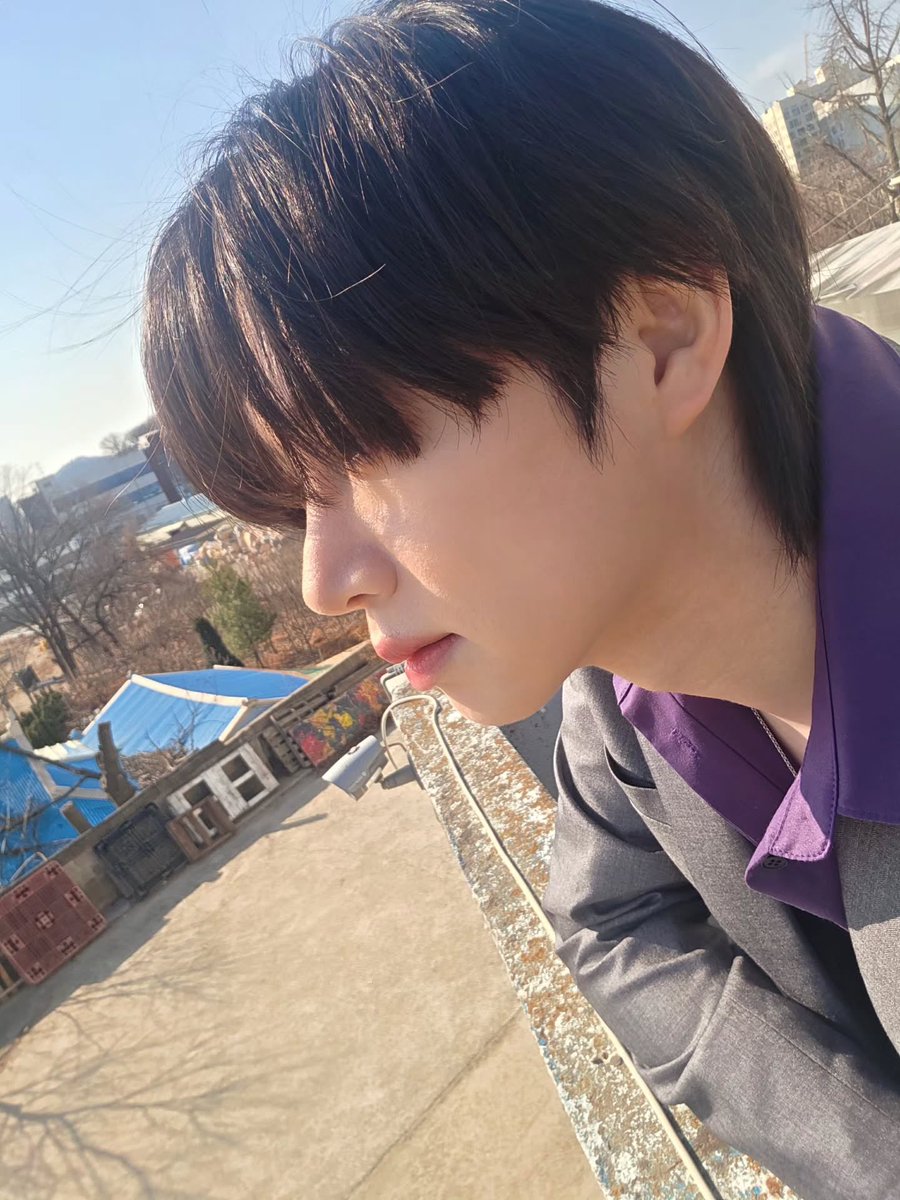 새달 tweet media