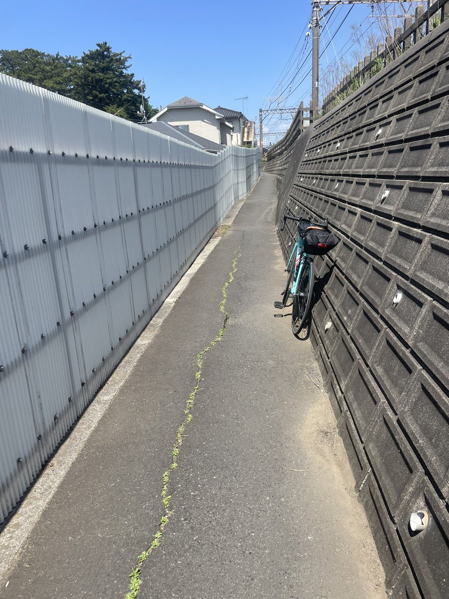 ちるへる tweet media