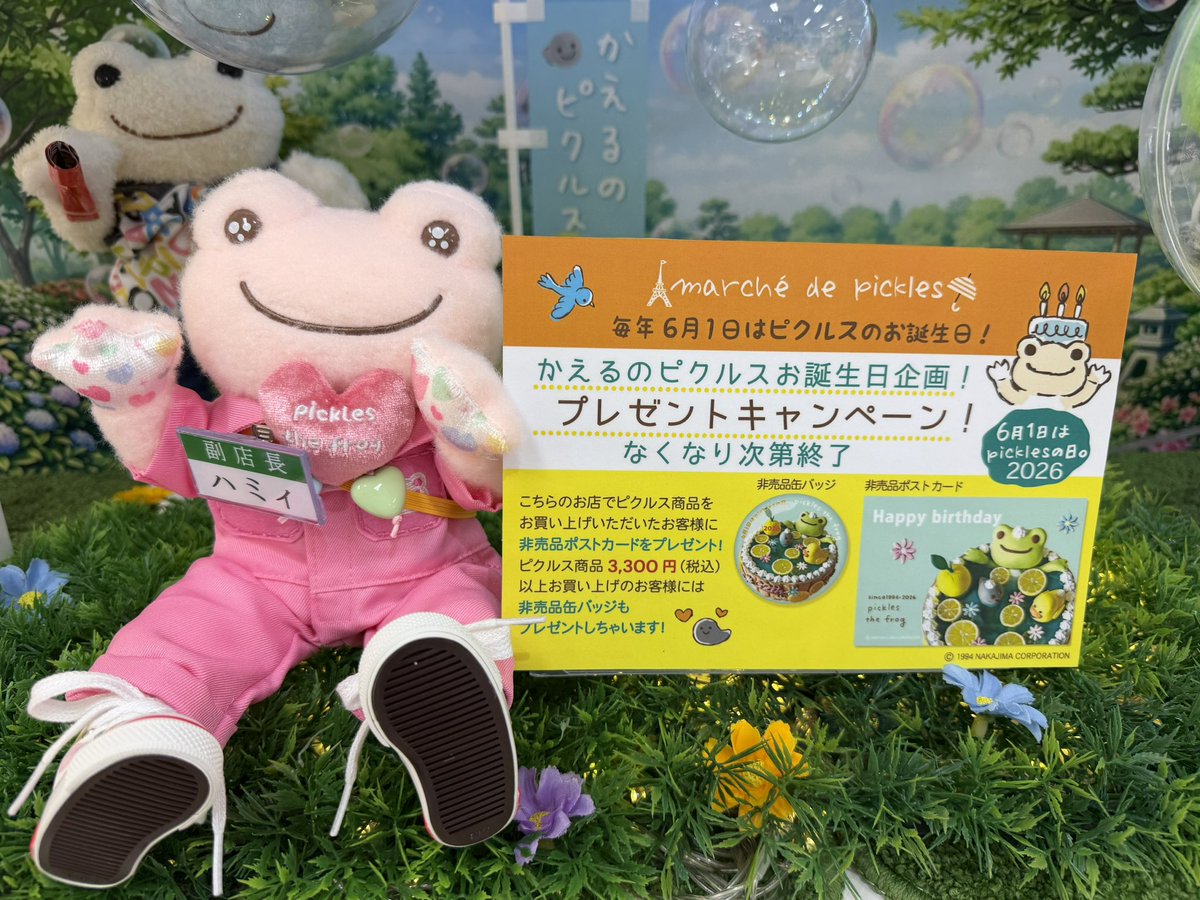 ハミィ副店長からの お知らせです！ かえるのピクルスお誕生日企画