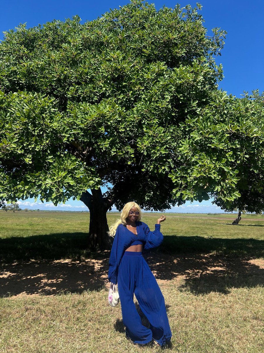 MwaiAnika's tweet photo. You only get three wishes 🧞‍♀️
sisna 💠🐦 https://t.co/1fjFehlTzK