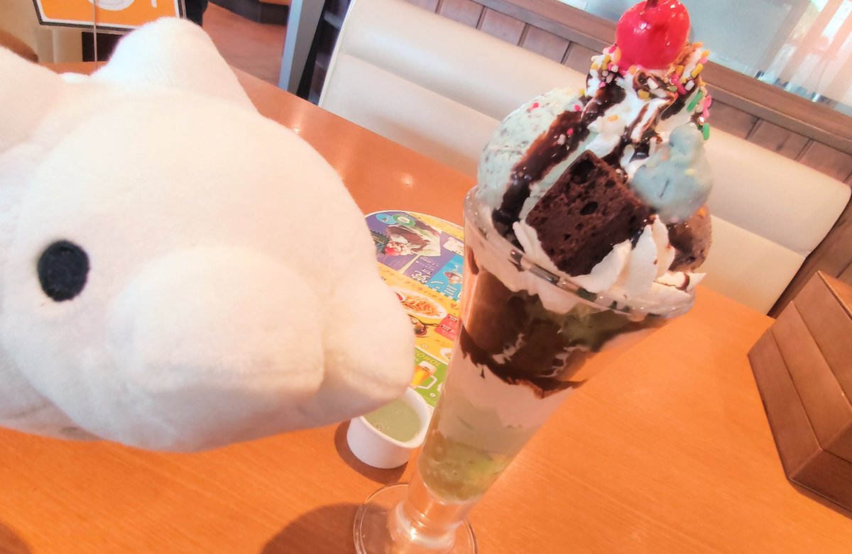 32b_83chan's tweet photo. 「あいすす」

いぇーい！チョコミン党のみんな見てるー？
今からユキハミちゃんがこの「チョコミン党パフェ」を食べちゃうよー❄🍨 https://t.co/vtG08C35OW