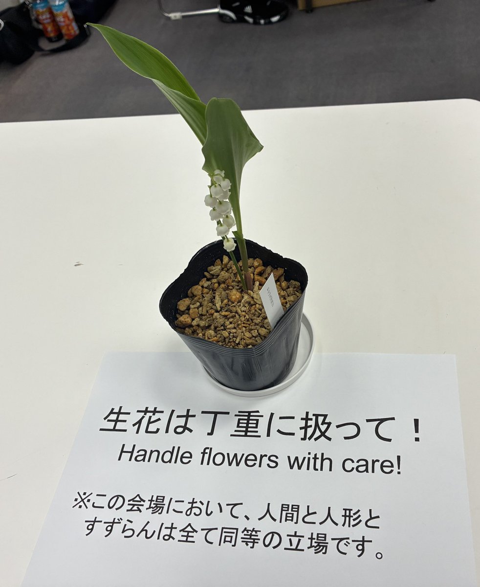 あゆかわ@次は5/31名華祭 tweet media