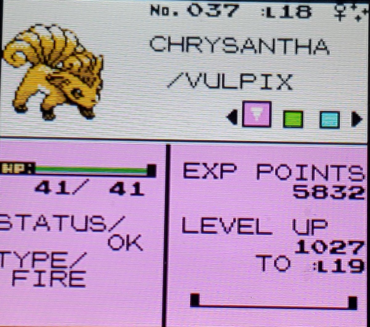 baass_d's tweet photo. IM BACK!! Shiny Vulpix in silver after 22,853 REs! It has been so long since I've gotten a full odds shiny 😊 This was on route 7, I was going for either this or Murkrow, and I might end up coming back here soon! #shinypokemon https://t.co/HnSYaTNa1c