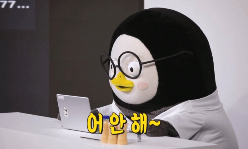 앨리스의 새집 tweet media