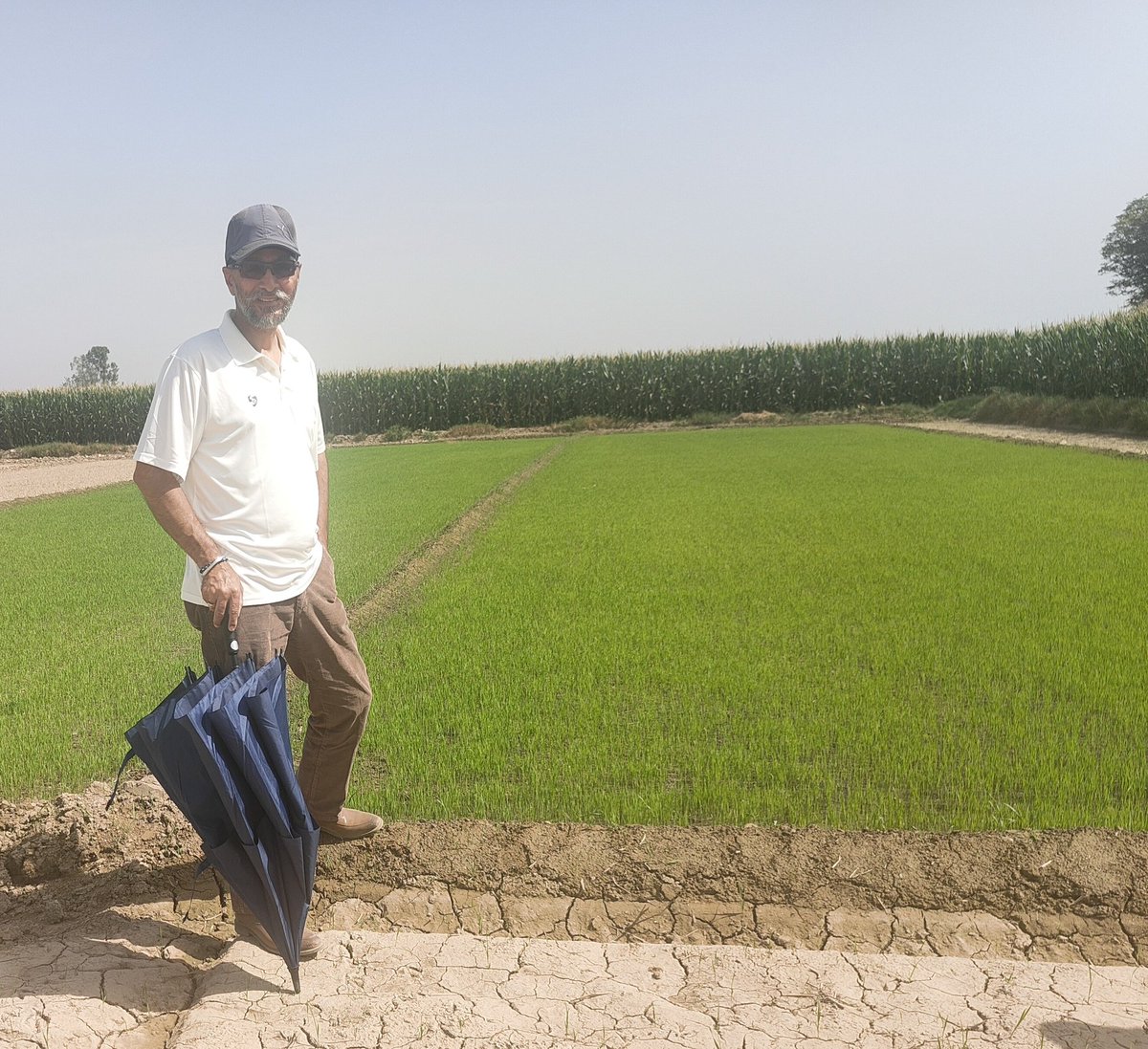 LtColSarvanjeet's tweet photo. Soil, sweat &amp; satisfaction. 

First crop of the season on the way. 

Weekend Jatt!

@ Hari Mohinder Farm

#WeekendJatt  #FarmLife #SoilAndSoul https://t.co/7nswTxu9wH