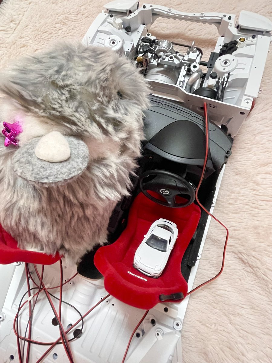 涼華 (suzuka)🧸🏠🐰 tweet media