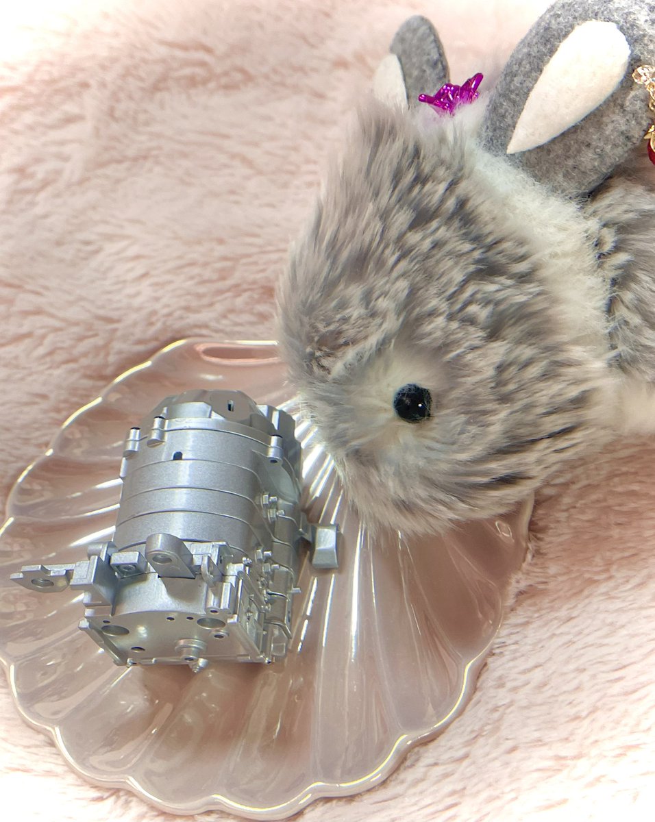 涼華 (suzuka)🧸🏠🐰 tweet media
