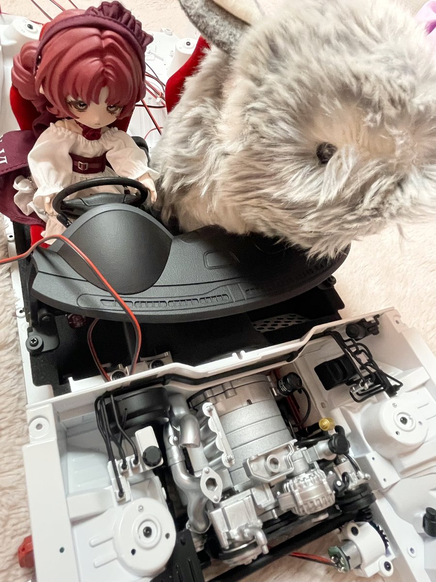 涼華 (suzuka)🧸🏠🐰 tweet media